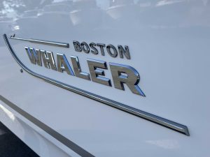 BOSTON WHALER 250 OUTRAGE