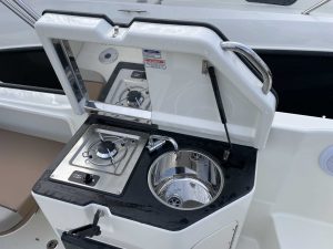 QUICKSILVER ACTIV 755 SUNDECK